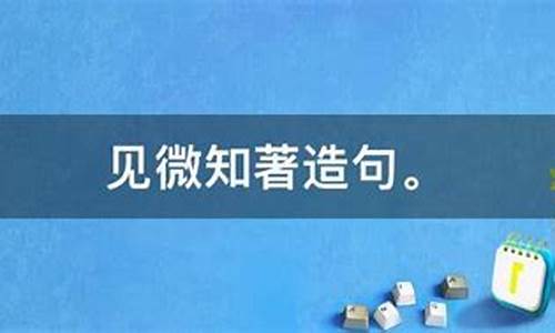 见微知著造句怎么写简单_见微知著造句怎么