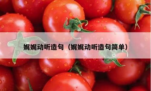 娓娓动听造句简单一点简单_娓娓动听写一句话