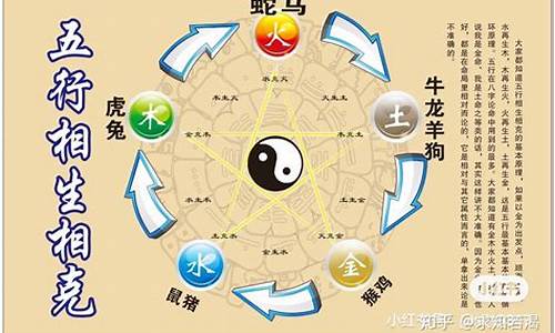 我的米字_我的米呢打一生肖正确答案解析