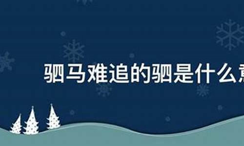 驷马难追的意思是什么意思_驷马难追的驷是什么意思