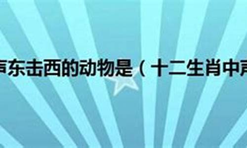 声东击西打一最佳生肖_声东击西打一生肖精准答案解释落实