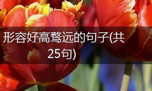 好高骛远造句子二年级_好高骛远造句子