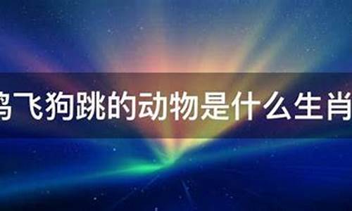 鸡飞狗跳打一最佳生肖_鸡飞狗跳打一生肖是什么寓意啊呢啊