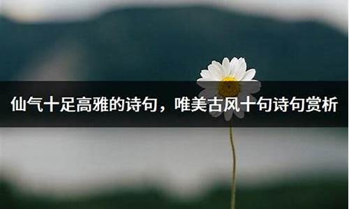 仙气十足高雅的成语五个字 意思_仙气十足高雅的成语五个字 意思是什么