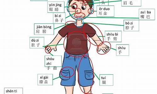 含有人体部位的四字成语_含有人体部位的四字成语有哪些