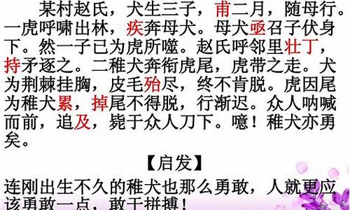 成语文言文故事及注释_成语文言文故事及注释及翻译